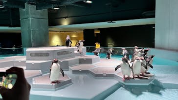 AOAO SAPPOROに投稿された画像（2023/8/1）