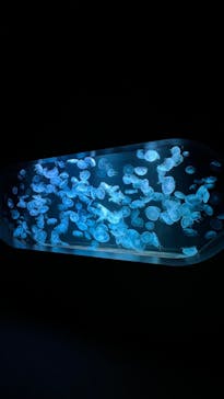 AOAO SAPPOROに投稿された画像（2023/8/1）