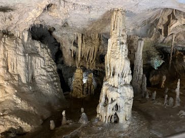 あぶくま洞に投稿された画像（2023/8/1）