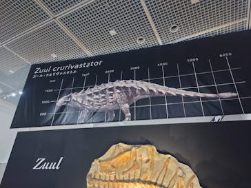 大阪市立自然史博物館に投稿された画像（2023/8/1）