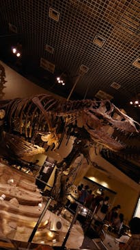 国立科学博物館に投稿された画像（2023/8/1）