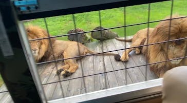 那須サファリパークに投稿された画像（2023/8/1）