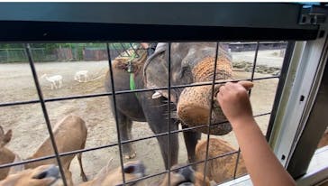 那須サファリパークに投稿された画像（2023/8/1）