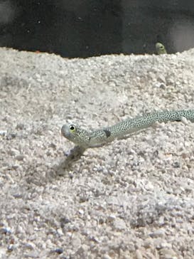 AOAO SAPPOROに投稿された画像（2023/8/1）