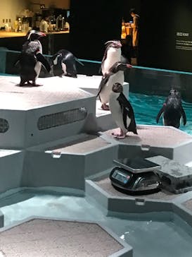 AOAO SAPPOROに投稿された画像（2023/8/1）