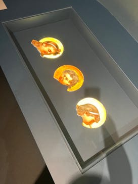 ガウディとサグラダ・ファミリア展 （東京国立近代美術館）に投稿された画像（2023/8/1）