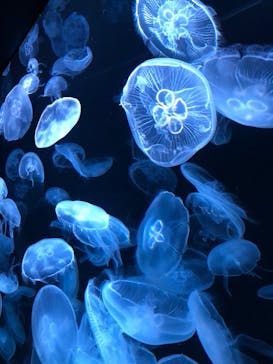 AOAO SAPPOROに投稿された画像（2023/8/1）