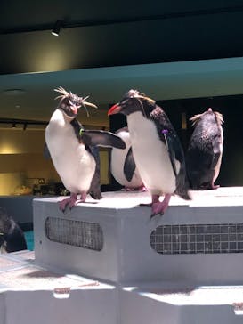 AOAO SAPPOROに投稿された画像（2023/8/1）