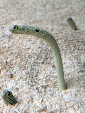 AOAO SAPPOROに投稿された画像（2023/8/1）