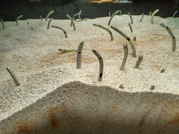 AOAO SAPPOROに投稿された画像（2023/8/1）