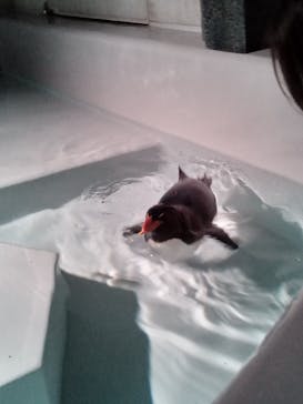 AOAO SAPPOROに投稿された画像（2023/8/1）