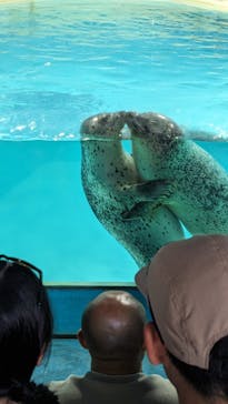 下田海中水族館に投稿された画像（2023/8/1）