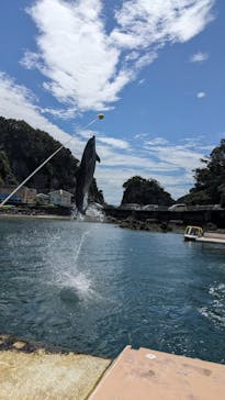 下田海中水族館に投稿された画像（2023/8/1）