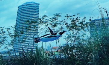 サンシャイン水族館に投稿された画像（2023/8/1）