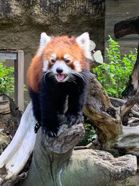 ひらかたパークに投稿された画像（2023/8/1）