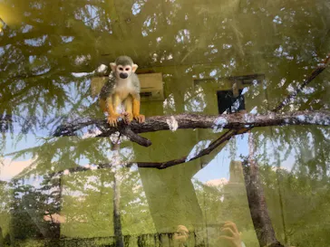 ひらかたパークに投稿された画像（2023/8/1）