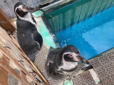 伊豆・三津シーパラダイスに投稿された画像（2023/8/1）