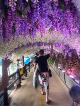 東京サマーランドに投稿された画像（2023/8/1）