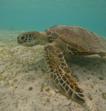 宮古島マリン GB QUESTに投稿された画像（2023/8/1）