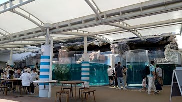 京都水族館に投稿された画像（2023/8/1）