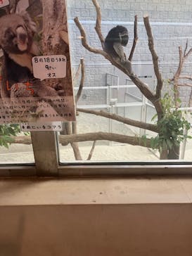 淡路ファームパーク イングランドの丘に投稿された画像（2023/8/1）