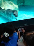 アクアワールド茨城県大洗水族館に投稿された画像（2023/8/1）