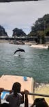 下田海中水族館に投稿された画像（2023/8/1）
