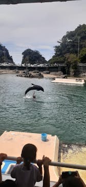 下田海中水族館に投稿された画像（2023/8/1）