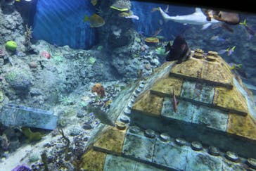 レゴランドⓇ・ジャパン・リゾートに投稿された画像（2023/8/1）