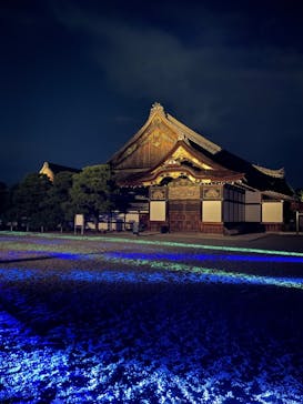 NAKED meets 二条城 2025 観月に投稿された画像（2023/8/1）