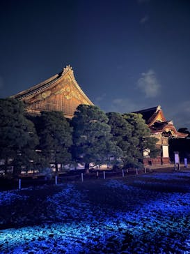 NAKED meets 二条城 2025 観月に投稿された画像（2023/8/1）