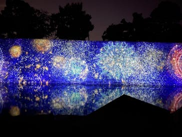 NAKED meets 二条城 2025 観月に投稿された画像（2023/8/1）