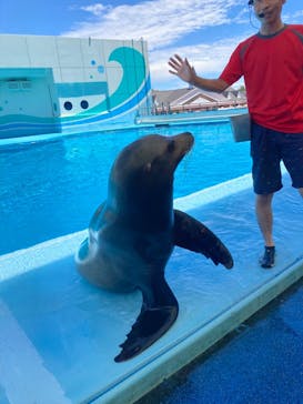 南知多ビーチランド＆南知多おもちゃ王国に投稿された画像（2023/8/1）