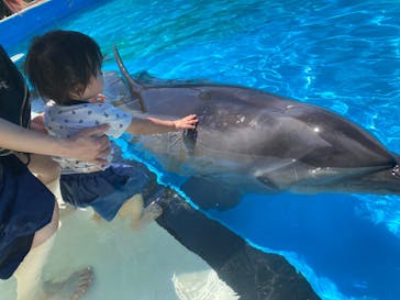 南知多ビーチランド＆南知多おもちゃ王国に投稿された画像（2023/8/1）