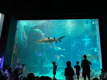 マリンワールド海の中道に投稿された画像（2023/8/1）