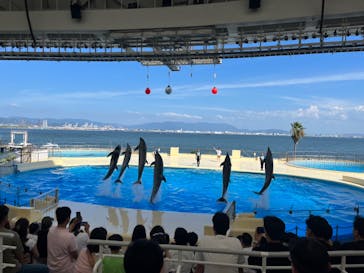 マリンワールド海の中道に投稿された画像（2023/8/1）