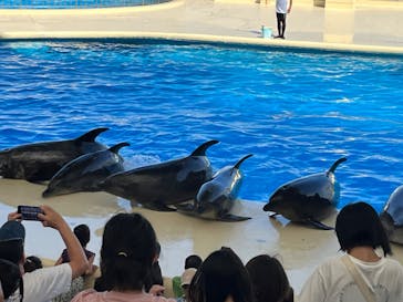 マリンワールド海の中道に投稿された画像（2023/8/1）