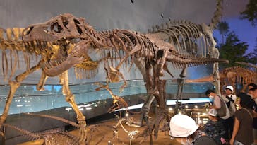 福井県立恐竜博物館に投稿された画像（2023/8/1）