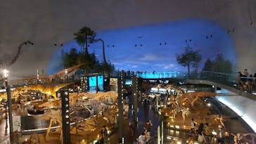 福井県立恐竜博物館に投稿された画像（2023/8/1）
