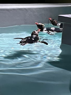 AOAO SAPPOROに投稿された画像（2023/8/1）