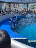 大分マリーンパレス水族館 「うみたまご」に投稿された画像（2023/8/2）