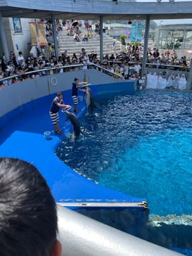大分マリーンパレス水族館 「うみたまご」に投稿された画像（2023/8/1）