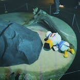 上越市立水族博物館 うみがたりに投稿された画像（2023/8/2）