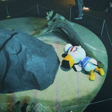 上越市立水族博物館 うみがたりに投稿された画像（2023/8/1）