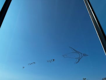 上越市立水族博物館 うみがたりに投稿された画像（2023/8/1）