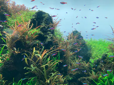 すみだ水族館に投稿された画像（2023/8/1）