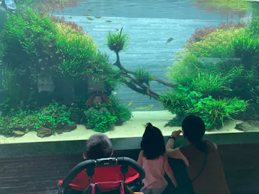 すみだ水族館に投稿された画像（2023/8/1）