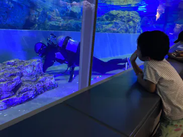 すみだ水族館に投稿された画像（2023/8/1）