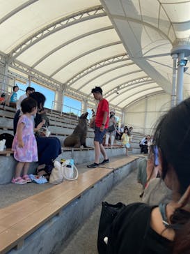 南知多ビーチランド＆南知多おもちゃ王国に投稿された画像（2023/8/1）