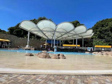 志摩市浜島磯体験施設 海ほおずきに投稿された画像（2023/8/1）